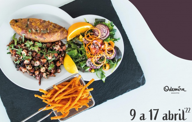 Odemira promove Semana Gastronómica do Polvo