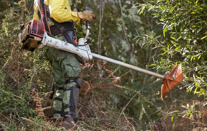 Prazo para limpar os terrenos termina a 30 de abril