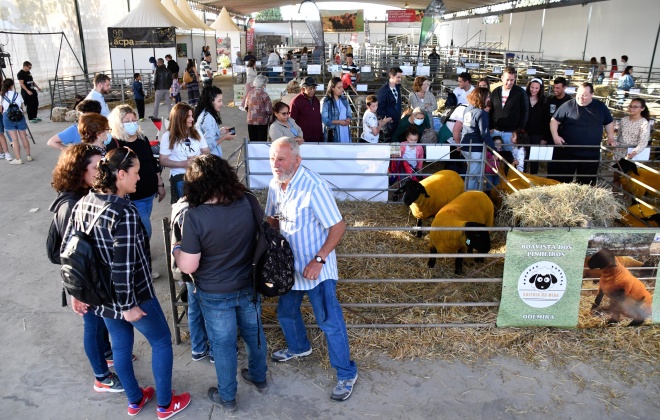 Santiagro 2022 recebeu mais de 45 mil visitantes e encerrou com balanço bastante positivo