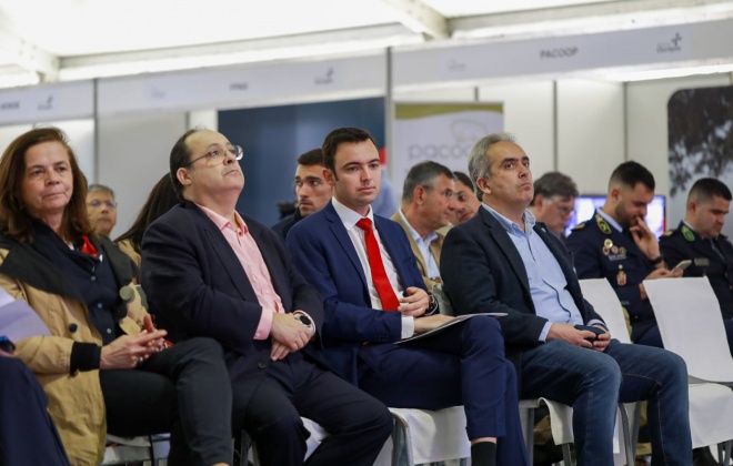 Ourique está a receber a 15ª edição da Feira do Porco Alentejano