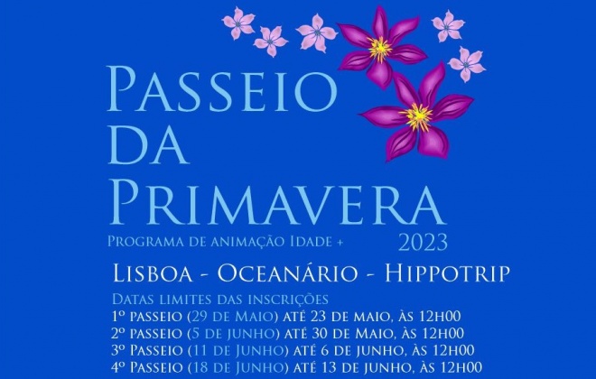 Passeio da Primavera regressa e leva seniores de Sines a Lisboa