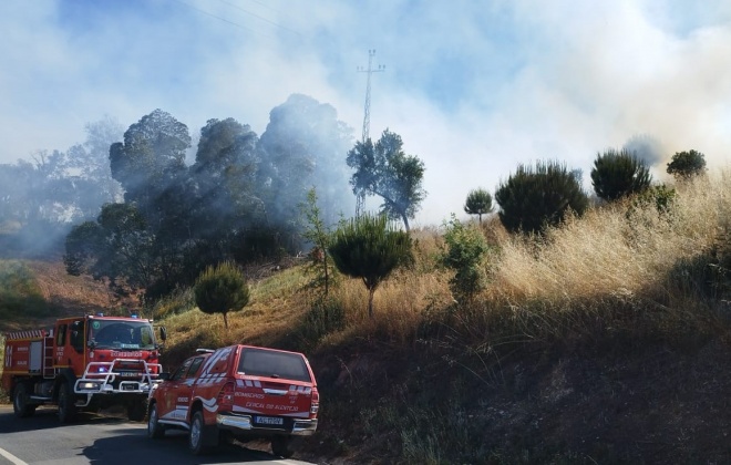 Proteção Civil alerta para agravamento do perigo de incêndio nos próximos dias