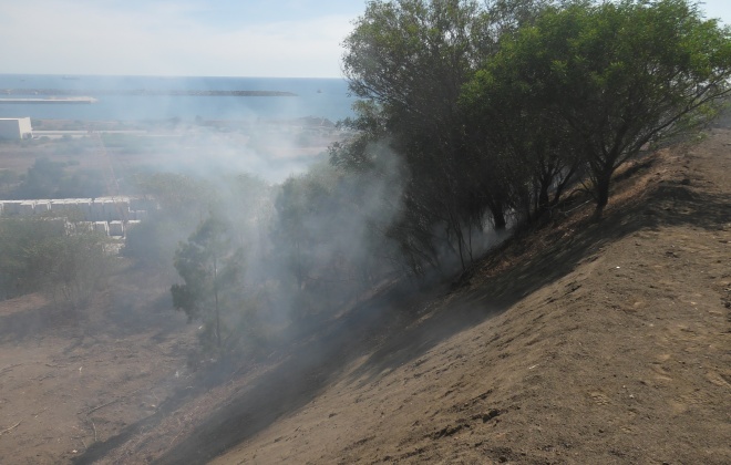 Incêndio consumiu área de mato em Sines