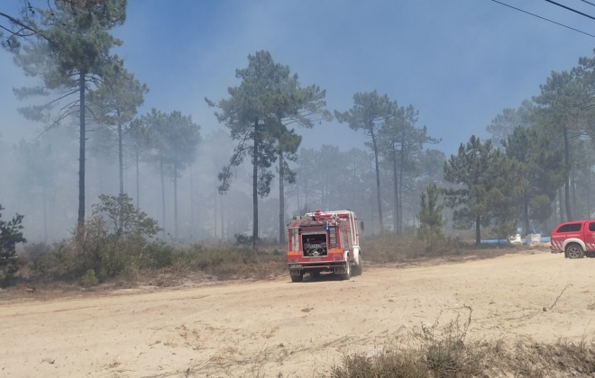 Incêndio consumiu área florestal junto do Complexo Industrial de Sines