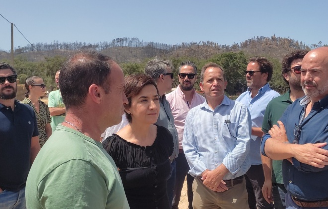 Governo apoia com 8.400 euros os agricultores de Odemira e com 5.400 os de Aljezur