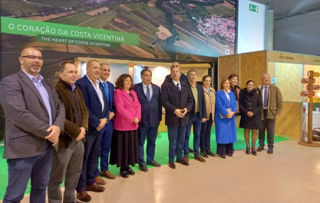 25ª Edição do Festival da Batata-doce de Aljezur terminou com “balanço positivo”