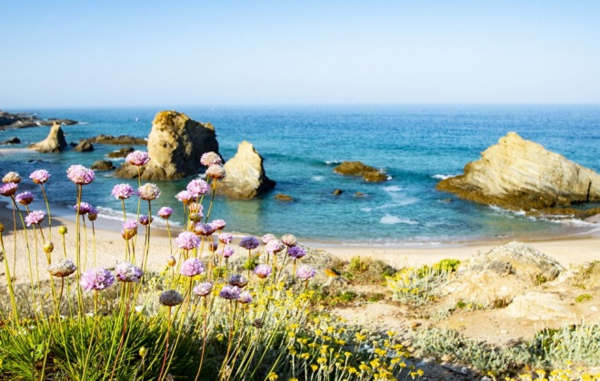 Sines está nomeado na categoria de destino europeu emergente dos World Travel Awards