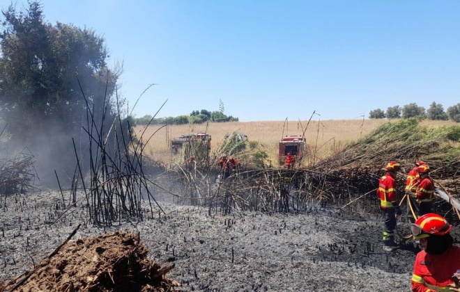 É proibido fazer queimadas e usar motorroçadoras nos próximos dias devido ao risco de incêndio
