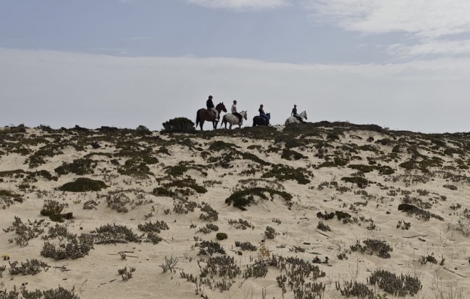 Brigada do Mar alerta para destruição provocada por passeios a cavalo nas dunas da costa alentejana