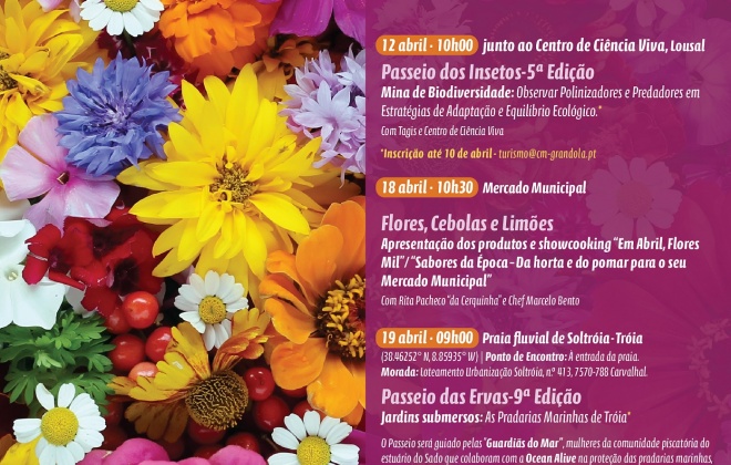 Grândola celebra abril com flores à mesa