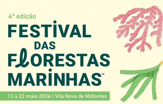 Vila Nova de Milfontes recebe o Festival das Florestas Marinhas a partir desta quarta-feira (com áudio)