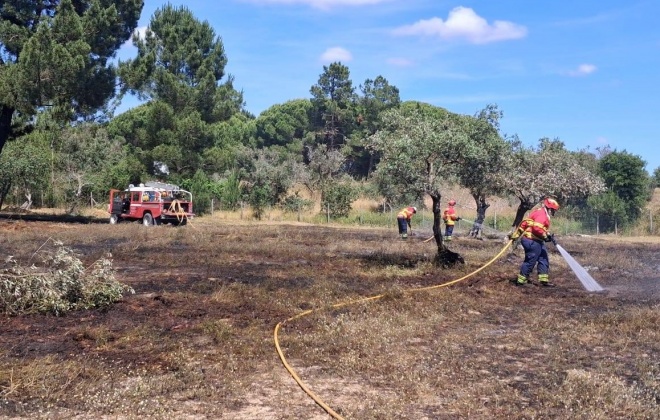 Bombeiros combateram incêndio em Alcácer do Sal