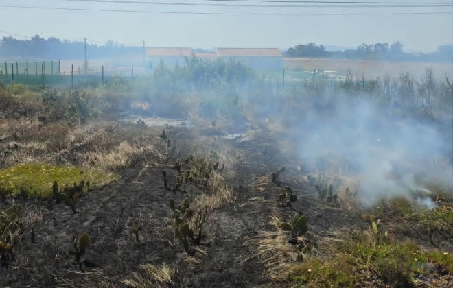 Bombeiros combateram incêndio em São Teotónio no concelho de Odemira