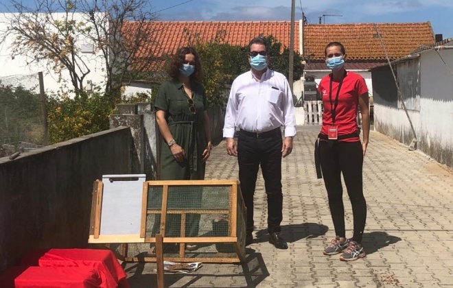 Ajuda a Associação de Animais de Rua aprovada hoje em Alcácer do Sal