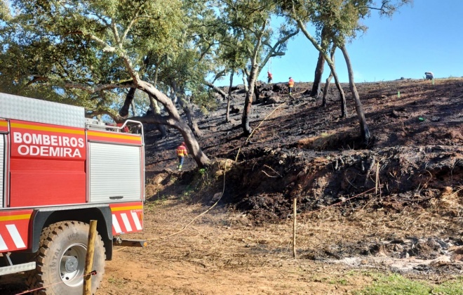 Incêndio consumiu área agrícola em São Luís, Odemira
