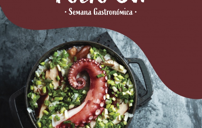 Semana Gastronómica do Polvo regressa ao concelho de Odemira entre os dias 9 e 17 de setembro